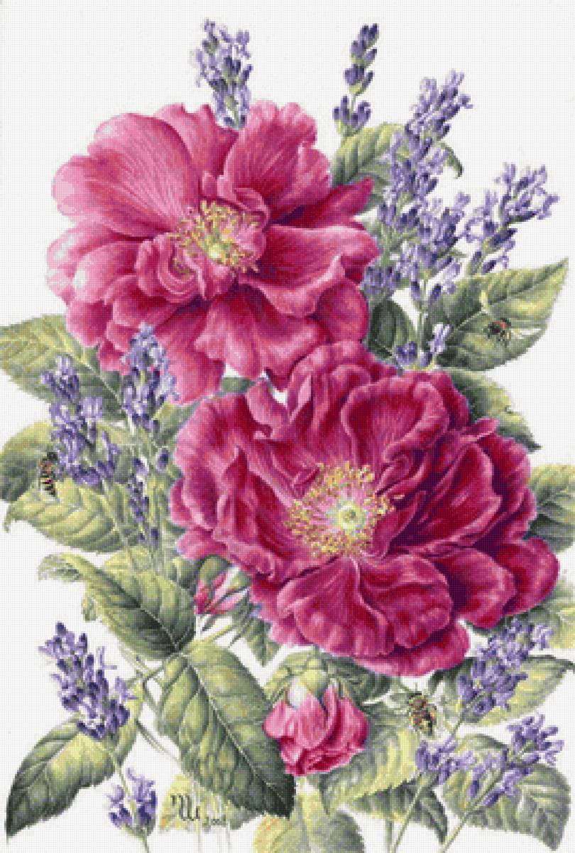 цветы - предпросмотр