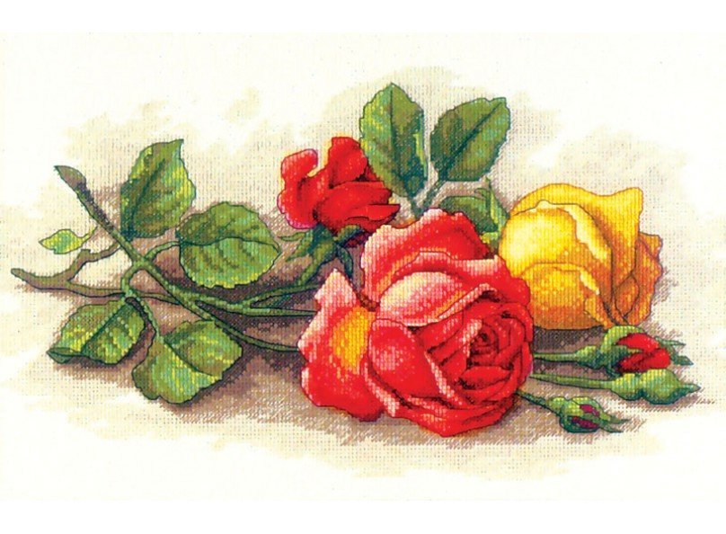 розы - розы на столе - оригинал