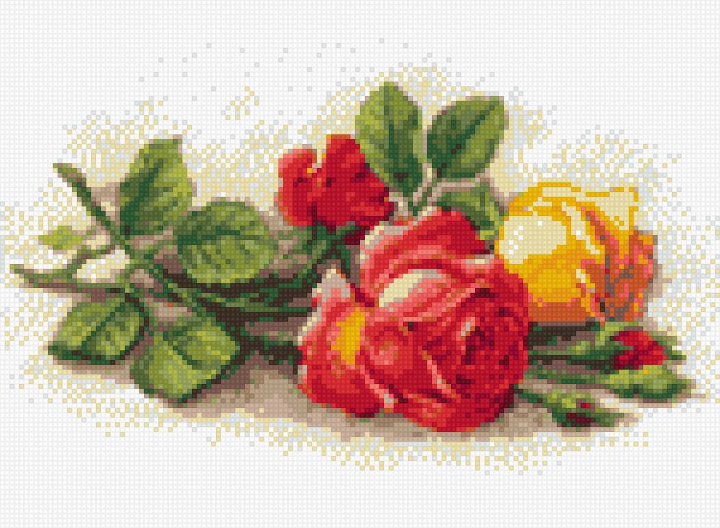 розы - розы на столе - предпросмотр