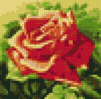 роза - цветы - предпросмотр