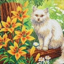 кот и лилии