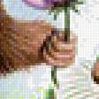 Предпросмотр схемы вышивки «белочки» (№2111503)