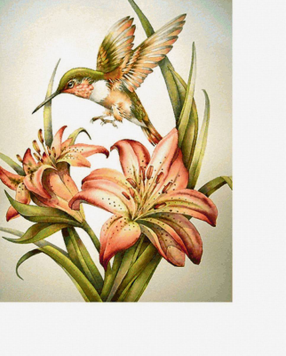 Серия "Лилии" - флора, цветы, птичка, лилии, колибри, букет - предпросмотр