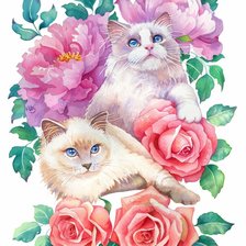 Схема вышивки «котики»