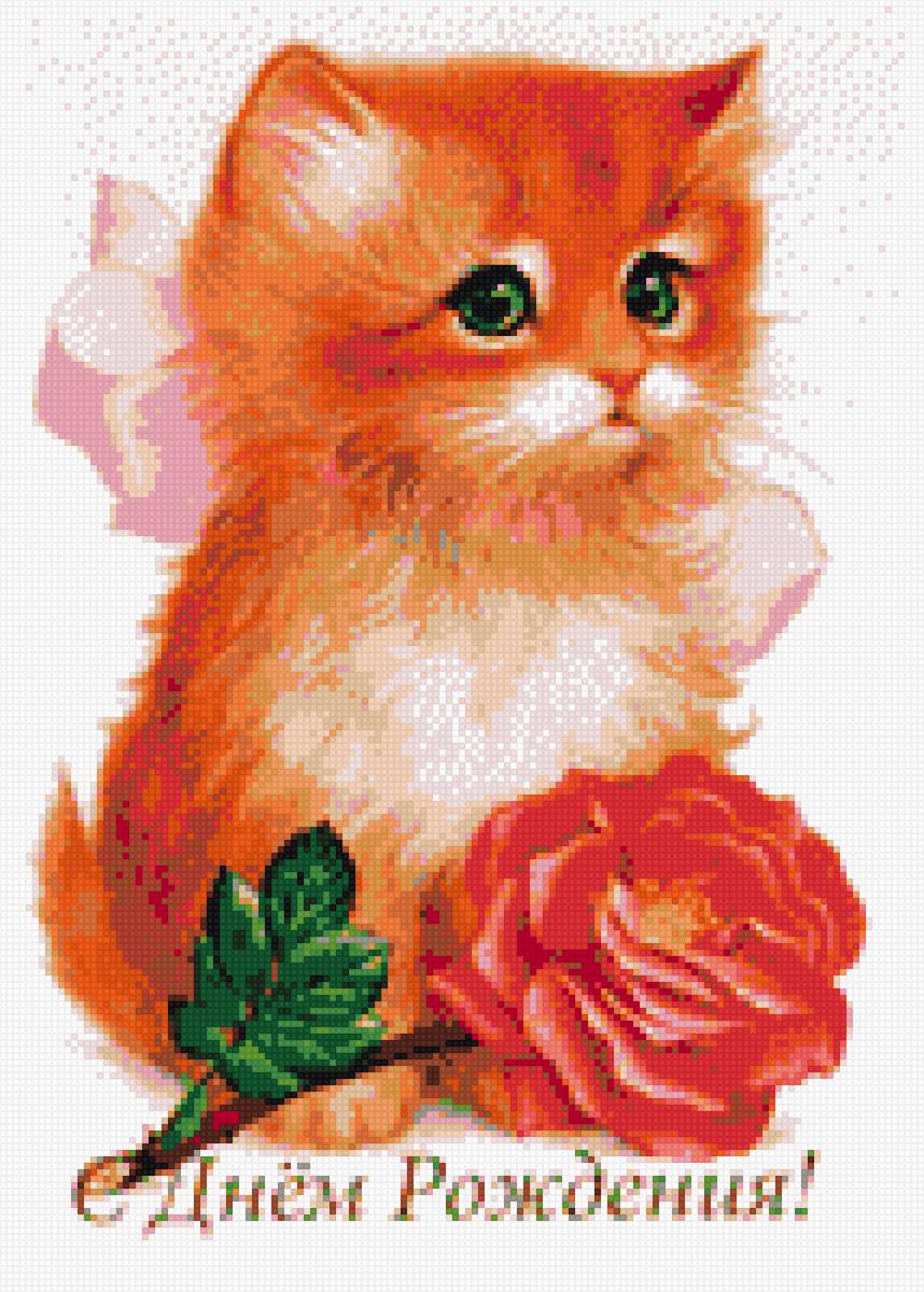 рыжик - коты - предпросмотр