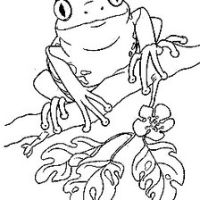 Схема вышивки «Лягушечка контурная»