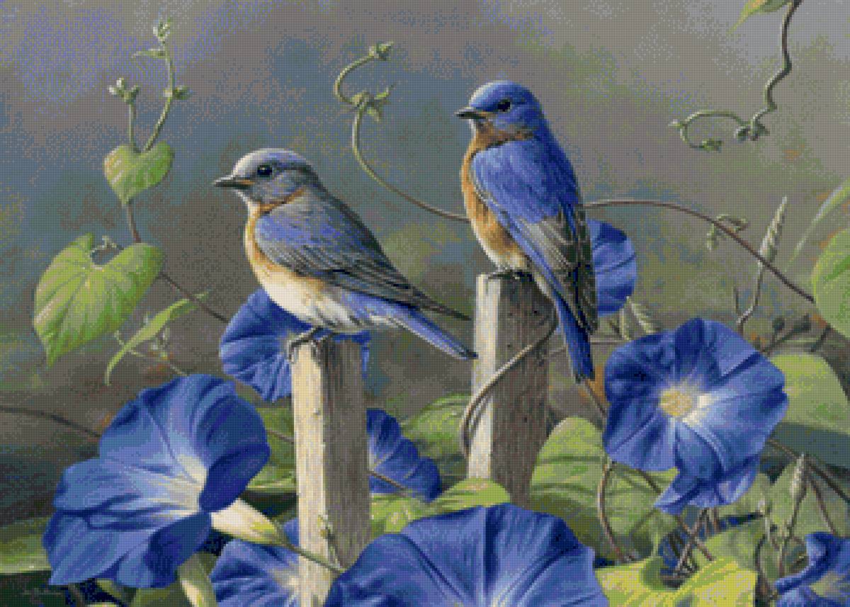 Синие птички - птицы, колокольчики, синие птички - предпросмотр