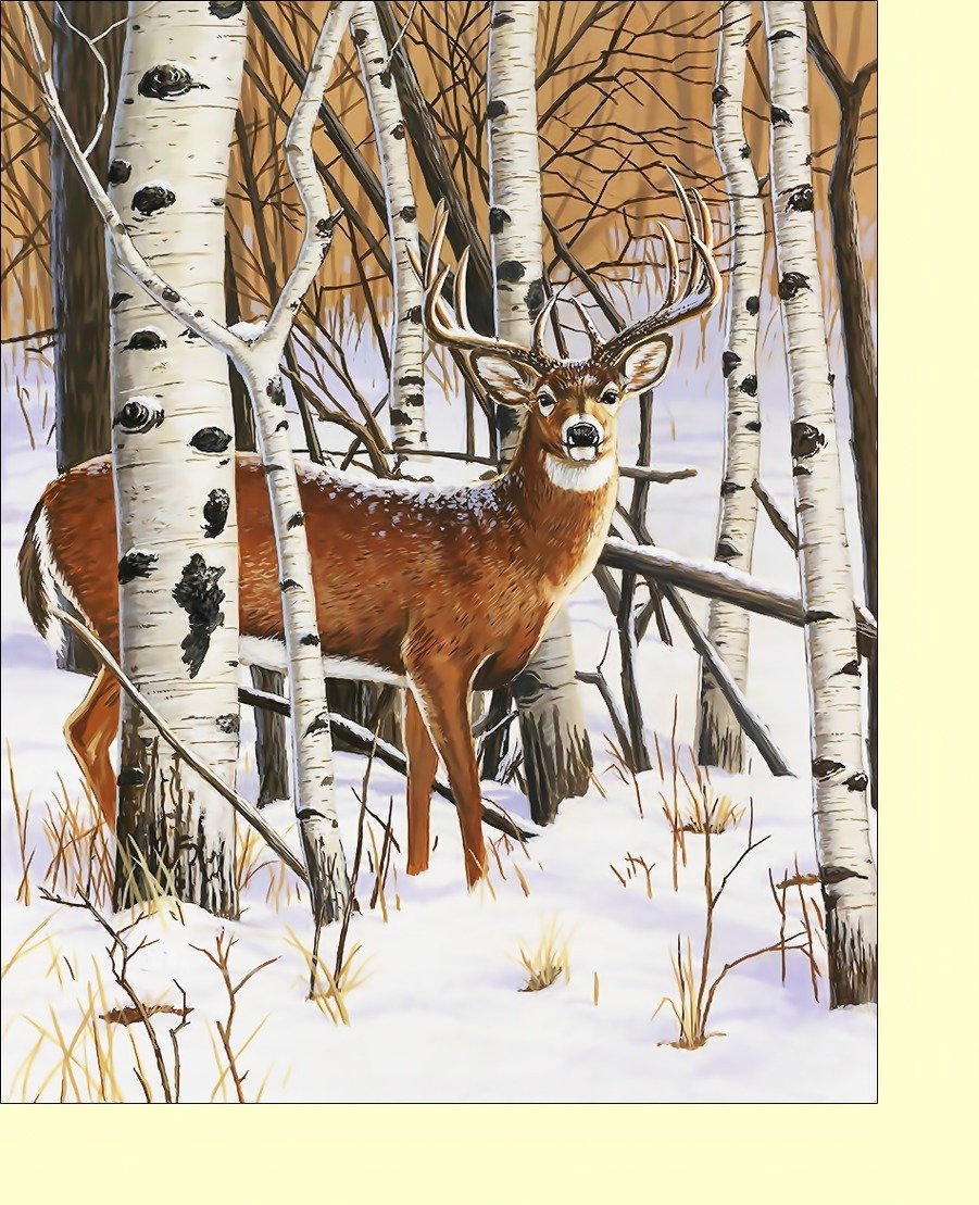 №2112390 - снег, березы, олени, животные - оригинал