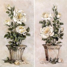 Схема вышивки «Розы»