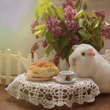 Схема вышивки «№2112475»