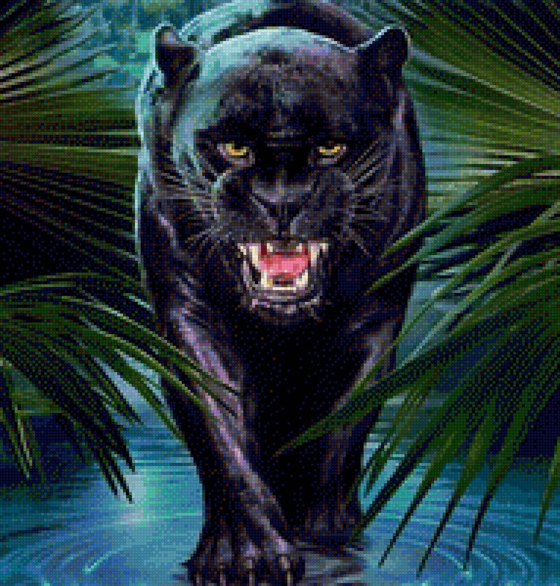 пантера - пантера дикие кошки хищник - предпросмотр