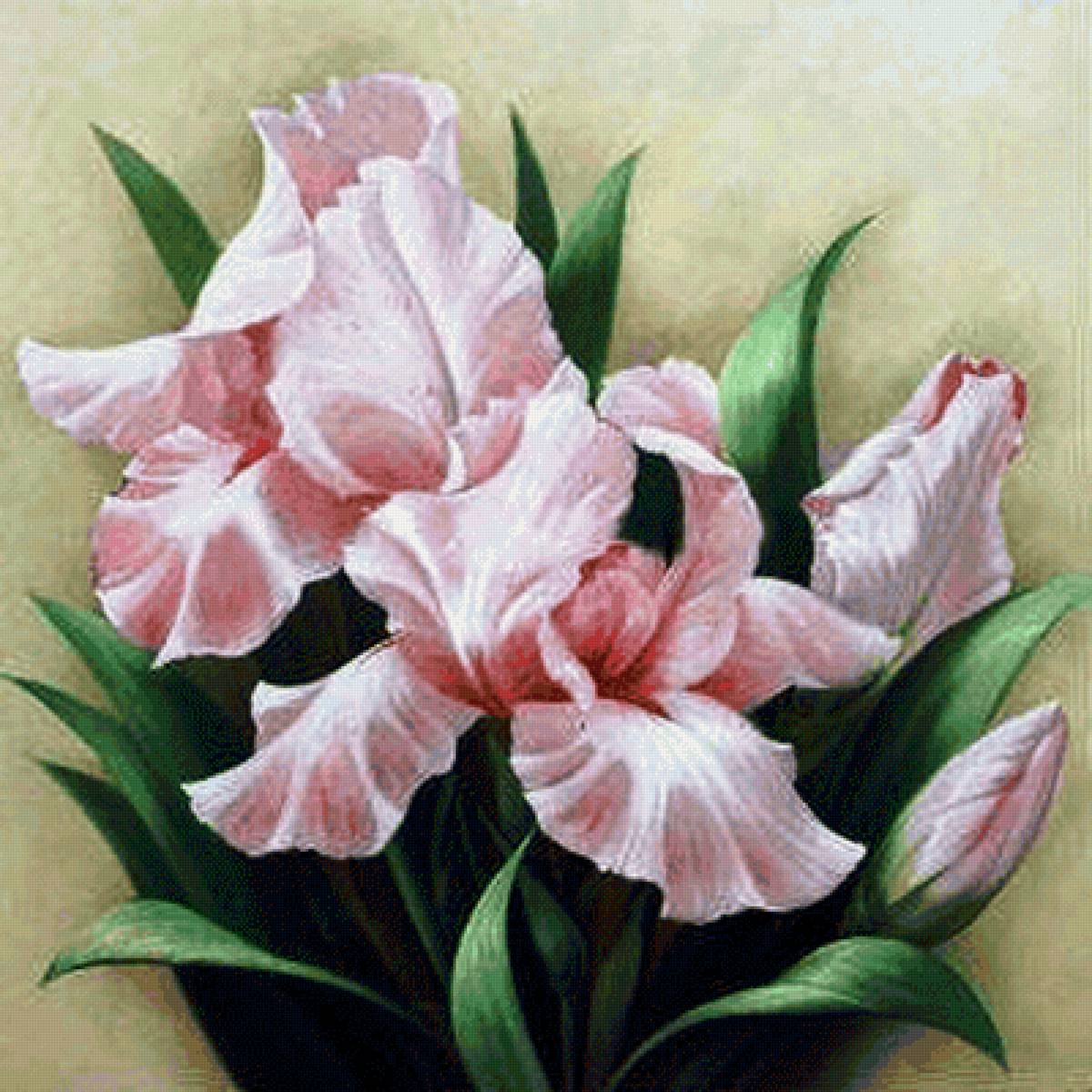 №2113042 - предпросмотр