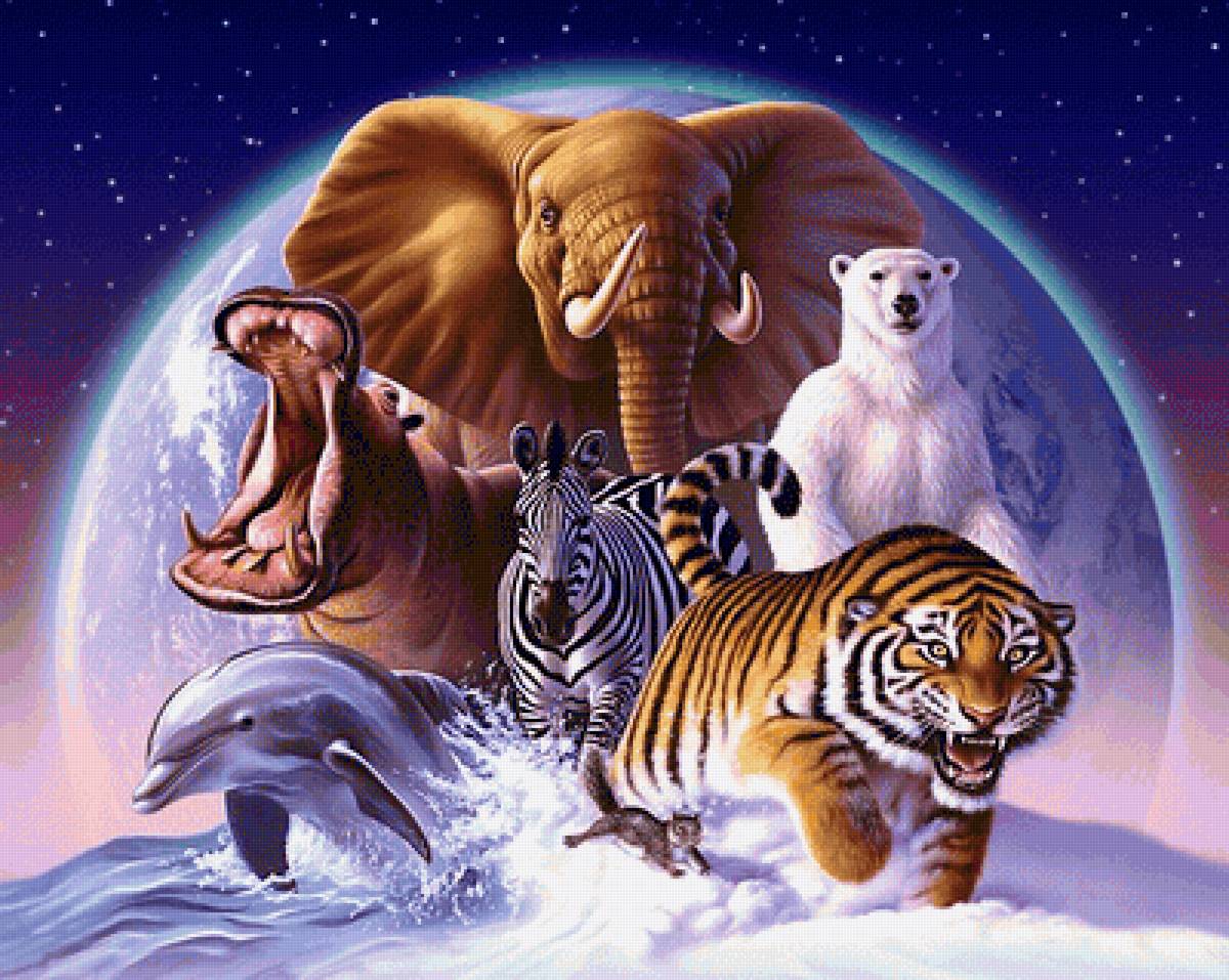 мир животных - мир животных - предпросмотр