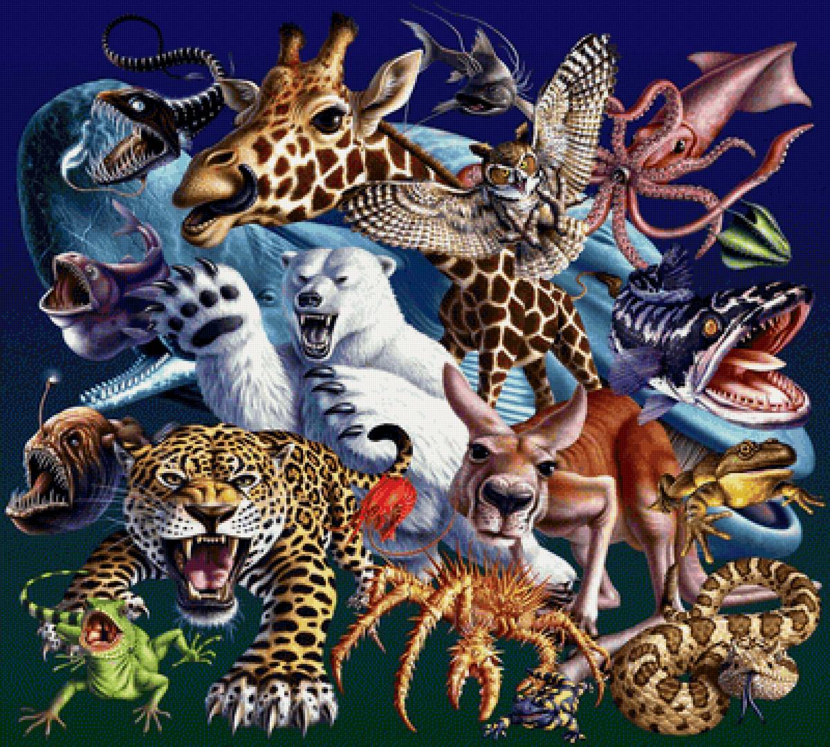В животном царстве существует несколько веществ. В царстве животных. Множество животных. Много зверей. Царство зверей.