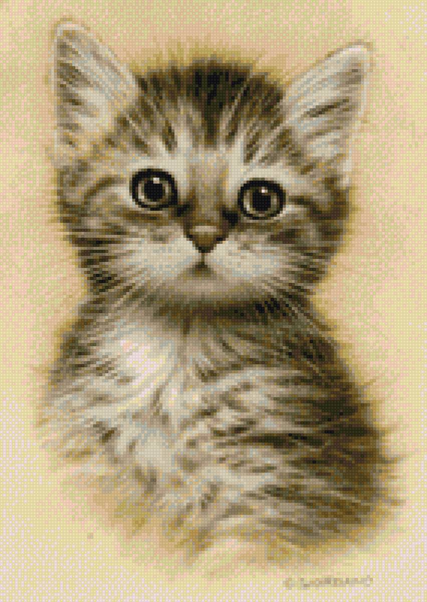 малыш - коты - предпросмотр