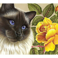 Схема вышивки «кошка»