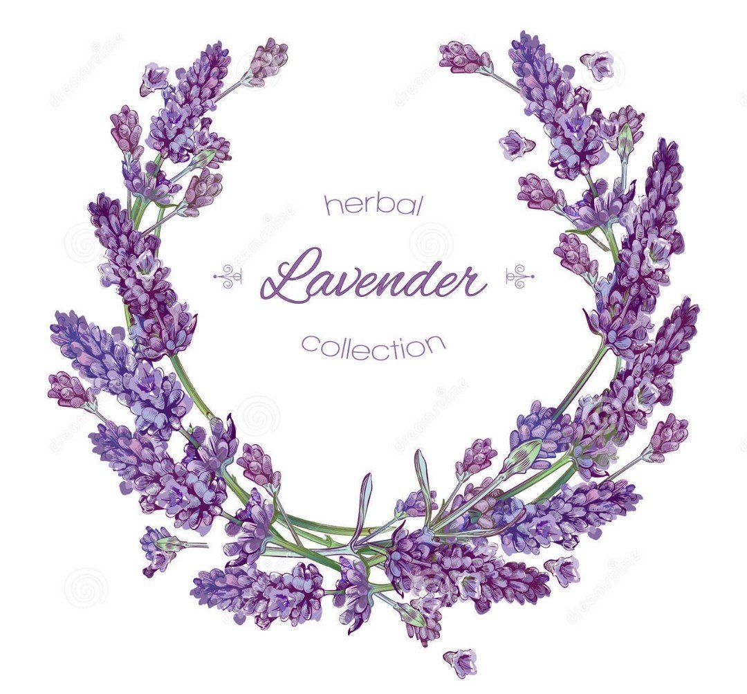 Lavender - оригинал