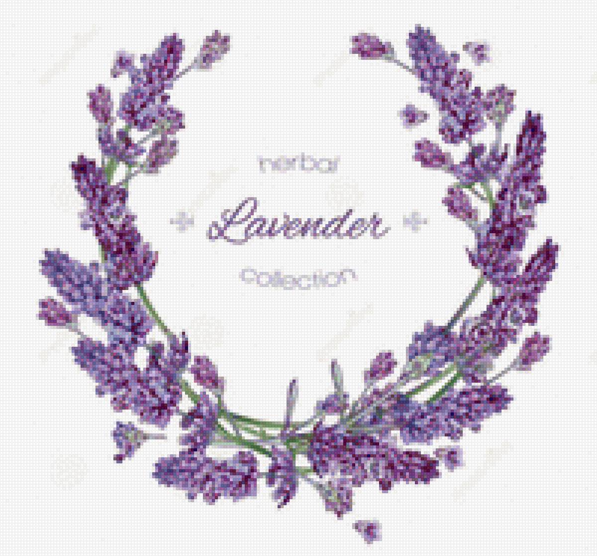 Lavender - предпросмотр