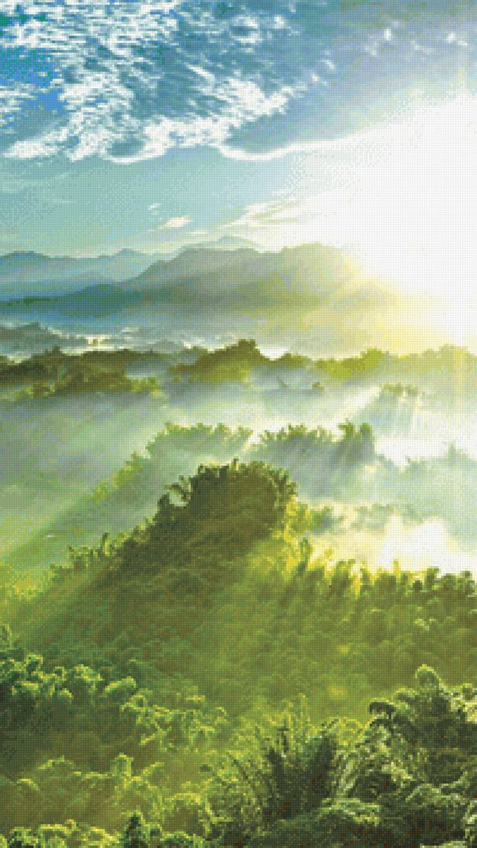 Утро - утро, лес - предпросмотр