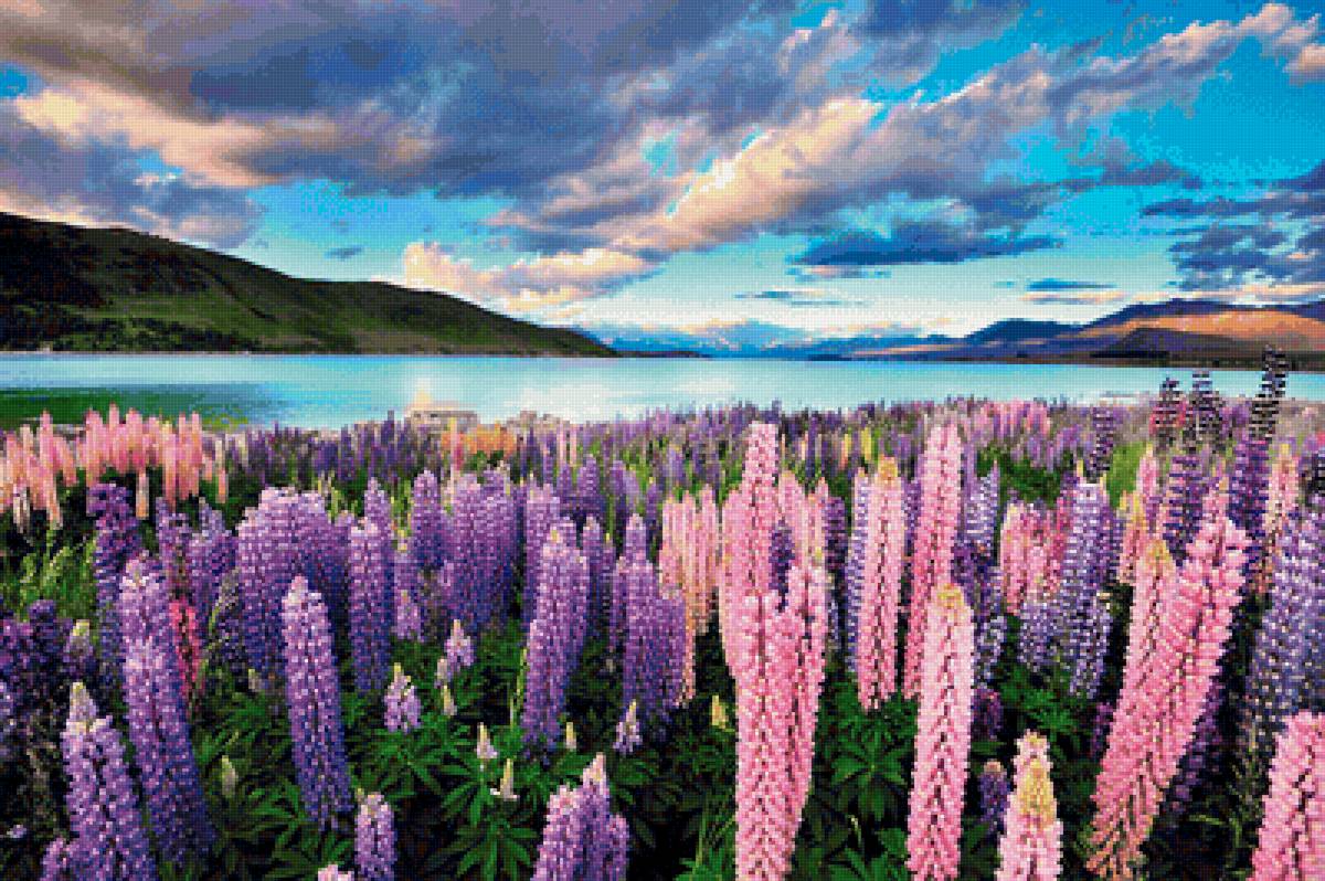 №2113825 - предпросмотр