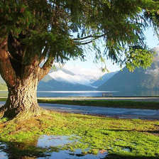 Схема вышивки «№2113831»