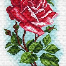Оригинал схемы вышивки «роза» (№2113863)