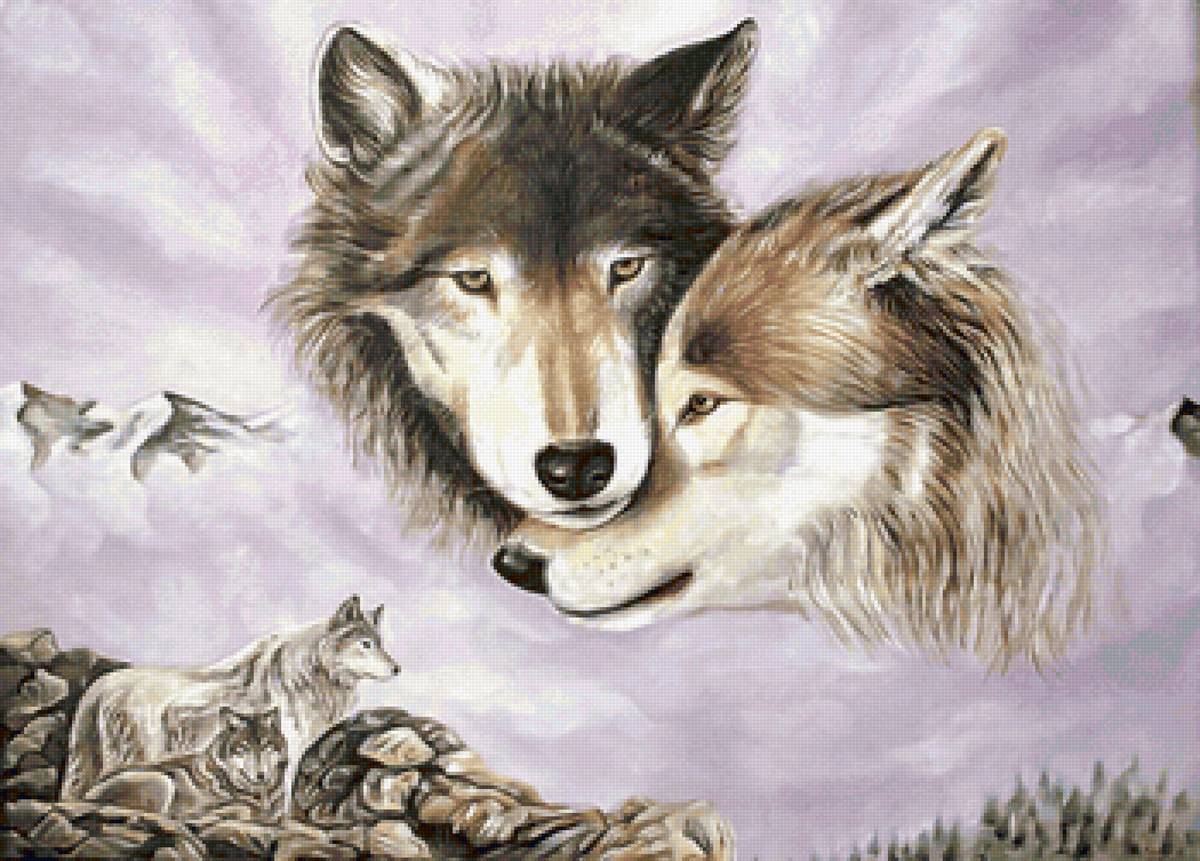 Волки - волки, животные - предпросмотр