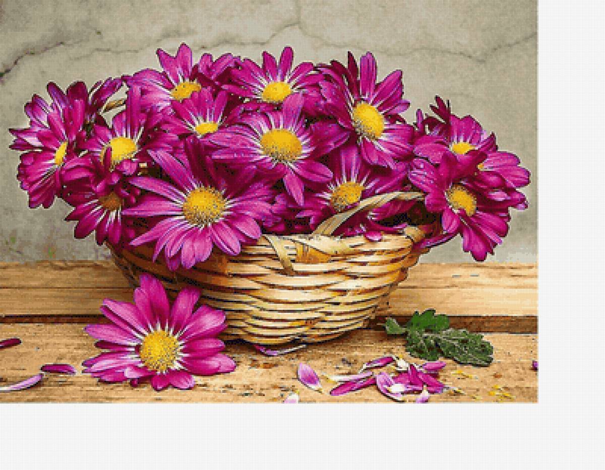 №2114529 - предпросмотр