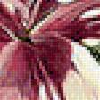 Предпросмотр схемы вышивки «лилия» (№2114551)