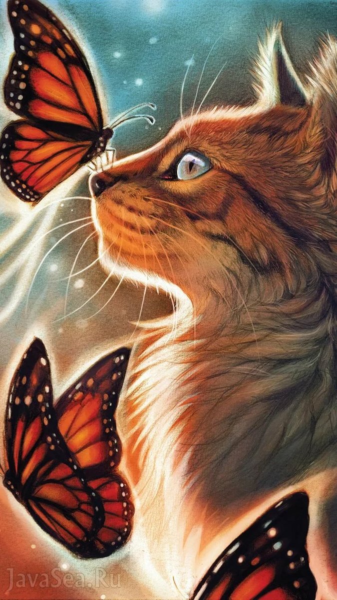 Кот и бабочки - кот, бабочки - оригинал