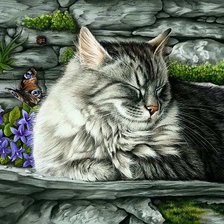 Схема вышивки «Кот на завалинке»