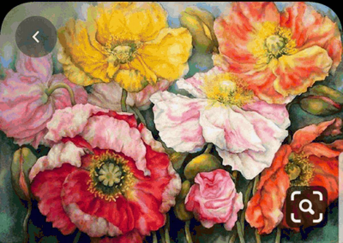 Маки - предпросмотр