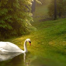 Схема вышивки «Лебедь»
