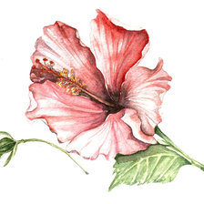 Оригинал схемы вышивки «цветок» (№2115504)