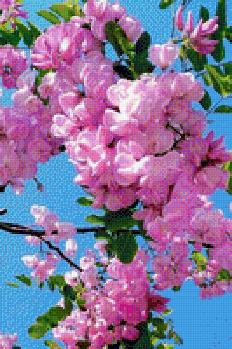 Цветы - цветы - предпросмотр