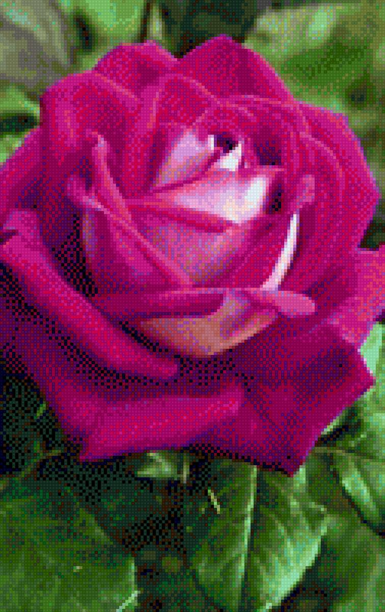 Цветы - цветы - предпросмотр