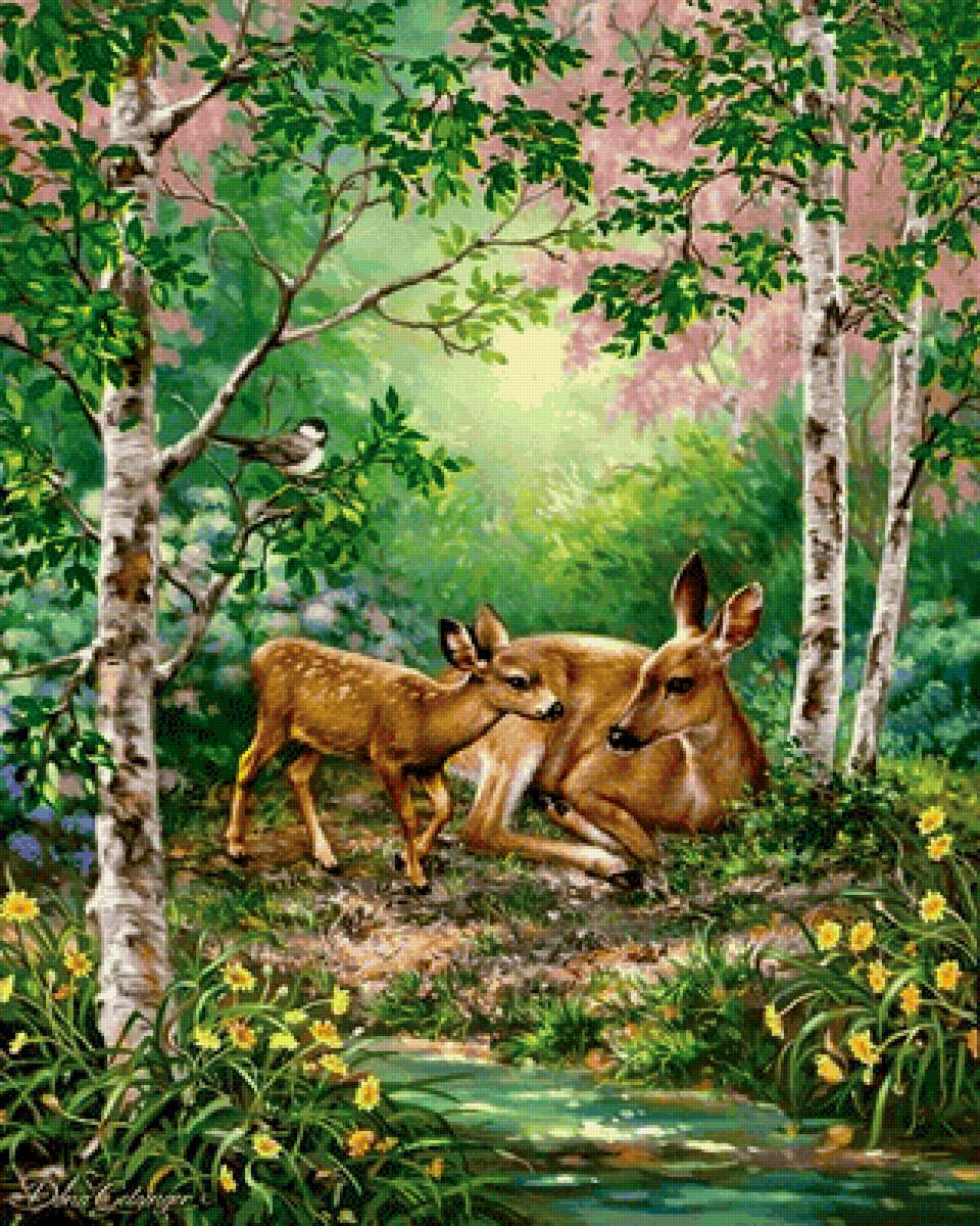 природа - предпросмотр