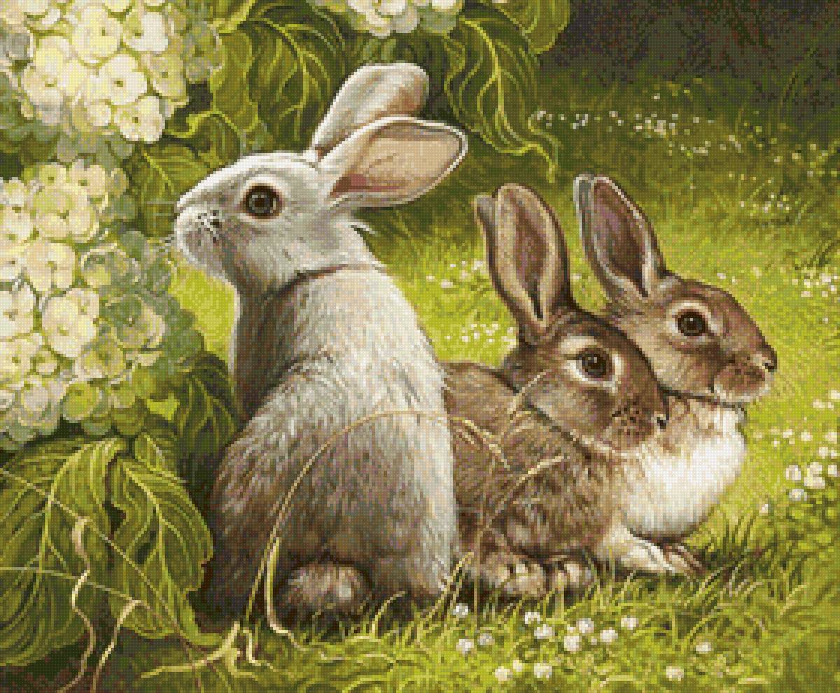 №2115980 - животные, зайцы, зверьки - предпросмотр