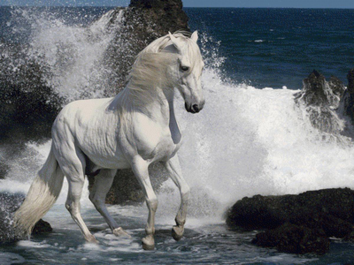 Купающийся конь - конь, море - оригинал