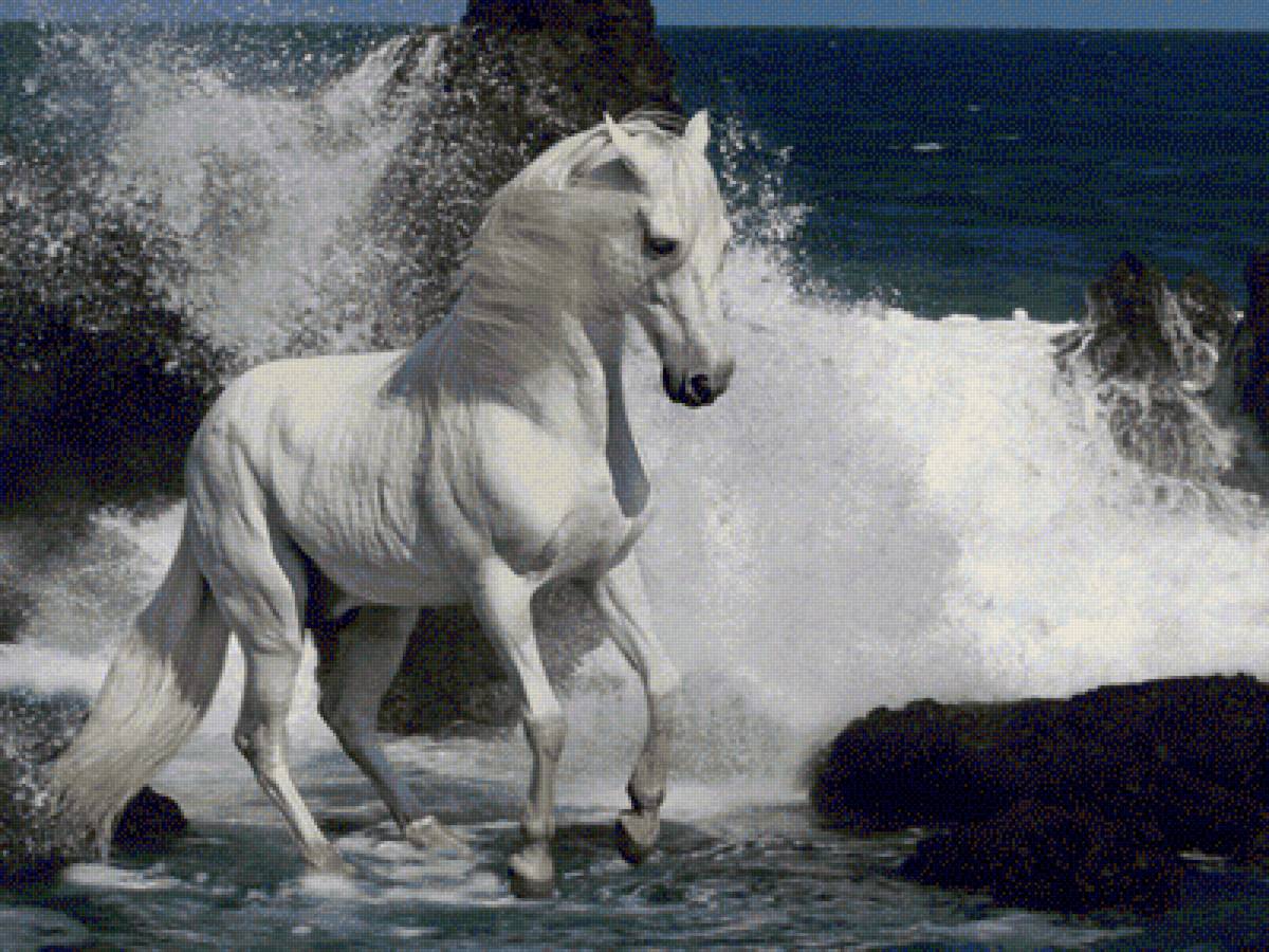 Купающийся конь - конь, море - предпросмотр
