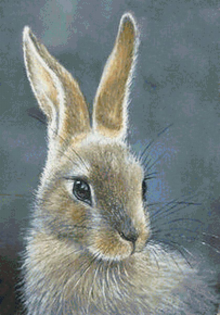 №2115983 - заяц - предпросмотр