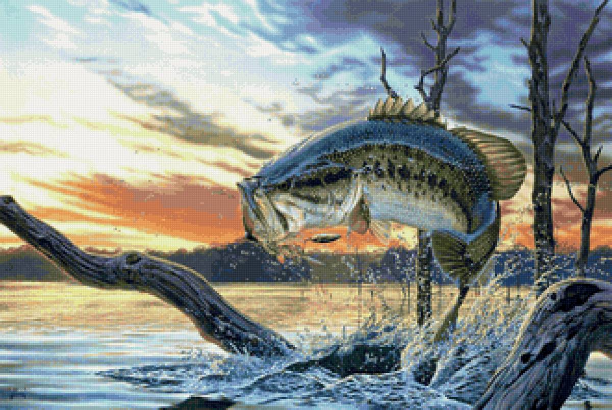 №2116007 - рыба - предпросмотр