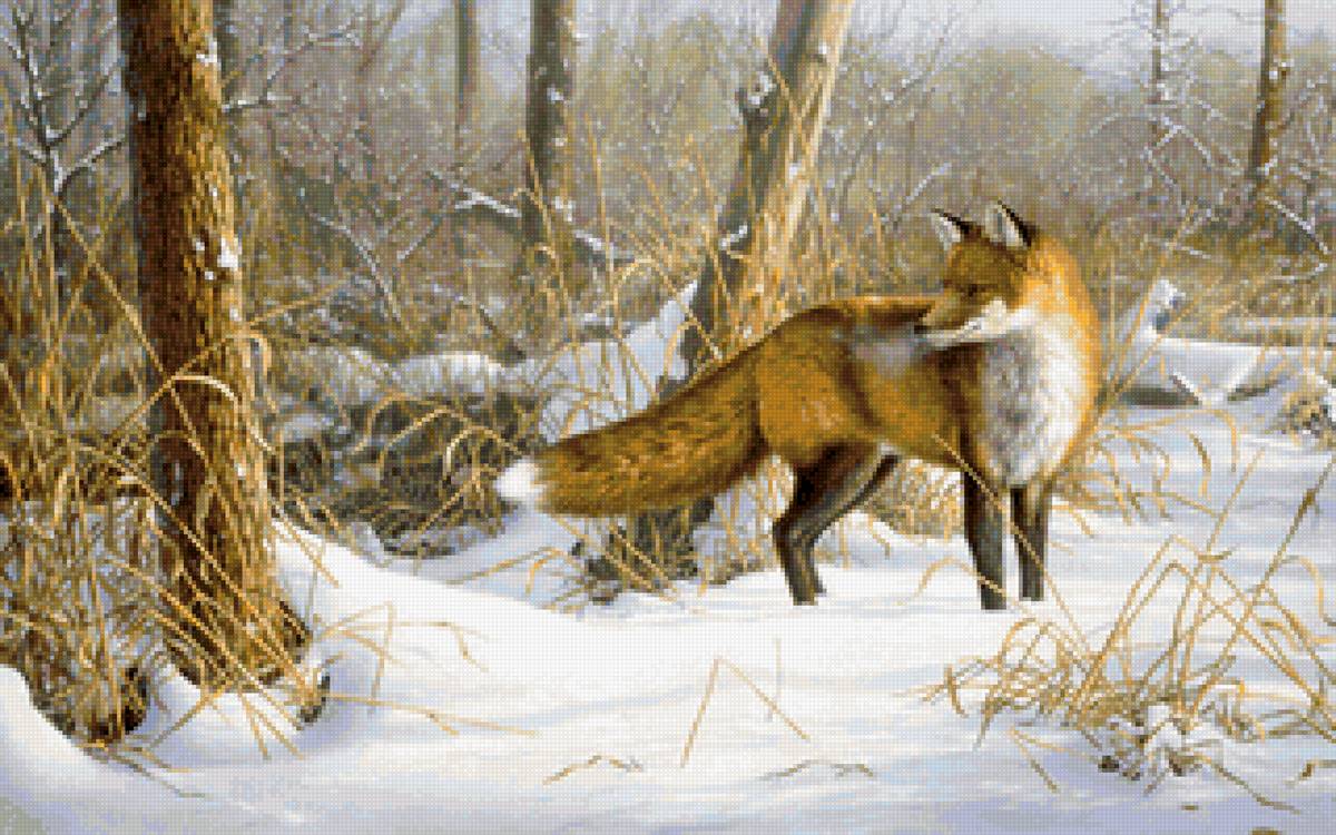 №2116012 - лиса, звери, животные - предпросмотр