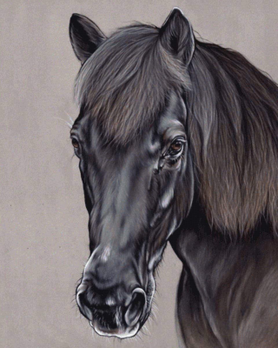 №2116065 - лошади, животные - предпросмотр