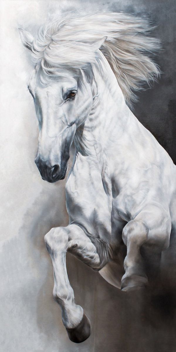 №2116070 - лошади, животные - оригинал