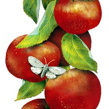Оригинал схемы вышивки «Яблоки» (№2116336)