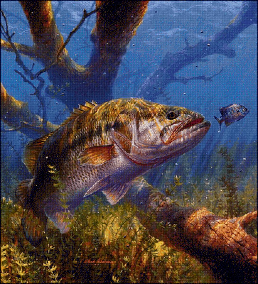 подводный мир - предпросмотр