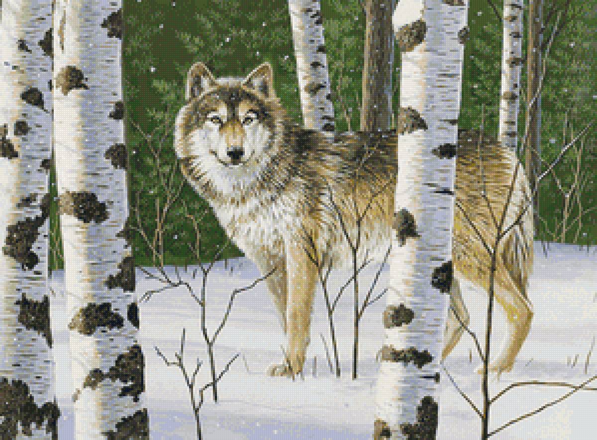 №2116869 - животные, звери, лес, зима, волк - предпросмотр