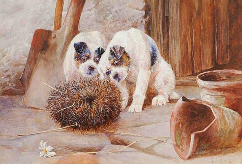 Незванный гость. Артур Вардль - ежик, живопись, собака - оригинал