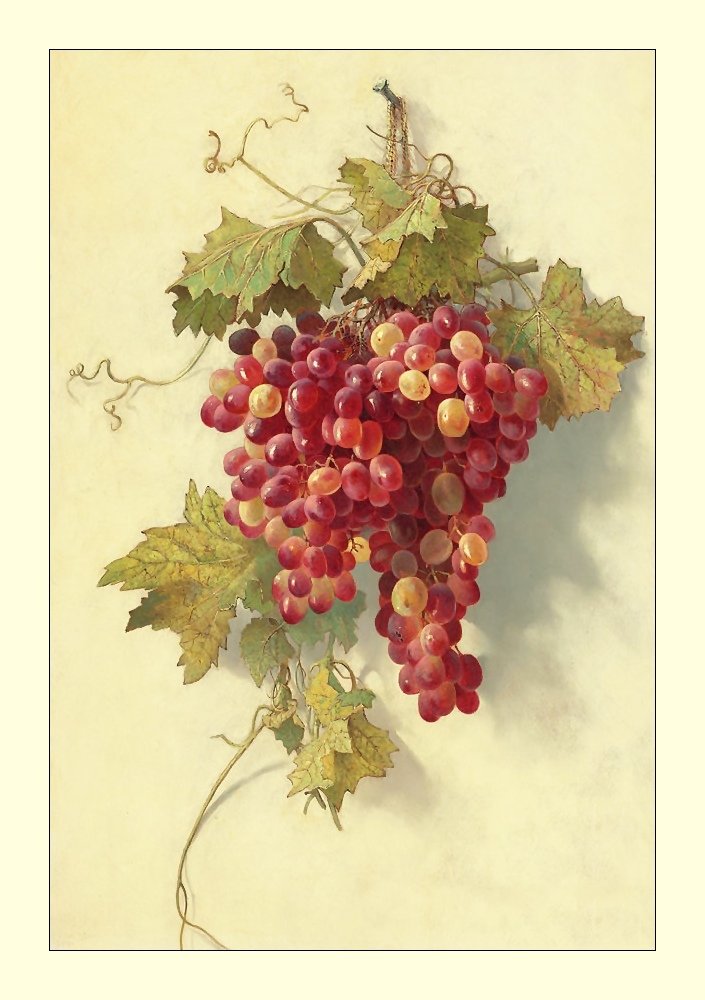 №2117788 - натюрморт, виноград, фрукты - оригинал
